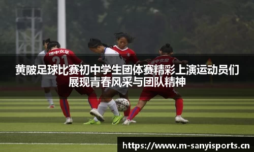 三亿体育