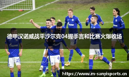 德甲汉诺威战平沙尔克04握手言和比赛火爆收场