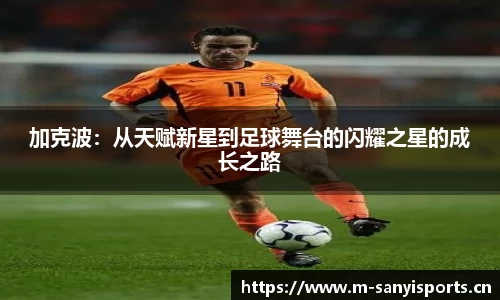 三亿体育平台